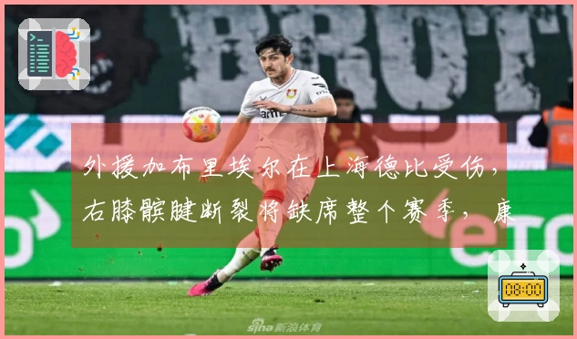 外援加布里埃尔在上海德比受伤，右膝髌腱断裂将缺席整个赛季，康复期长达一年